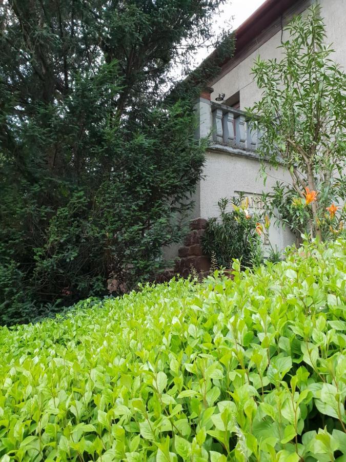 Kasza Villa Balatonfüred Buitenkant foto