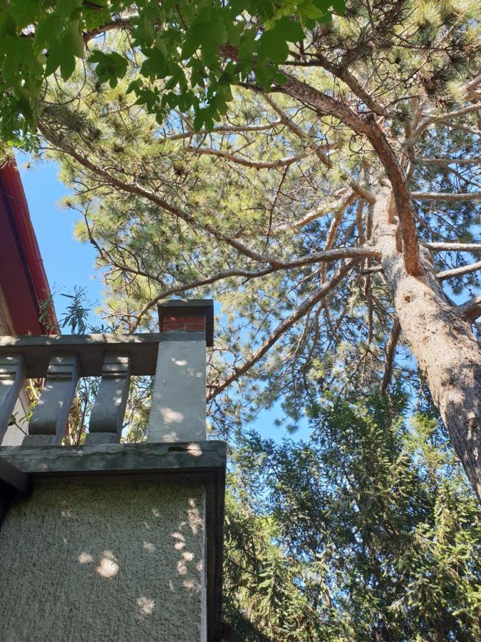 Kasza Villa Balatonfüred Buitenkant foto