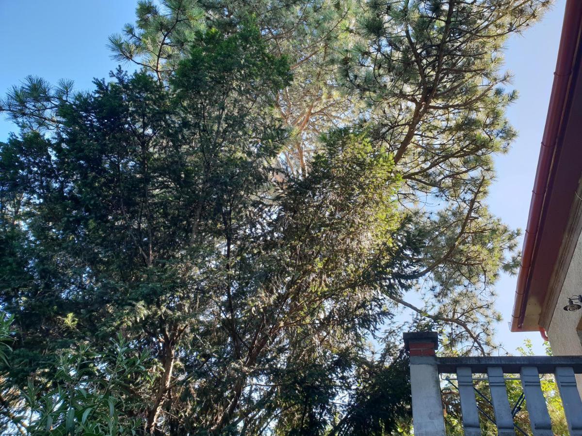 Kasza Villa Balatonfüred Buitenkant foto