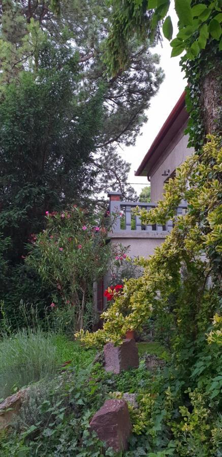 Kasza Villa Balatonfüred Buitenkant foto