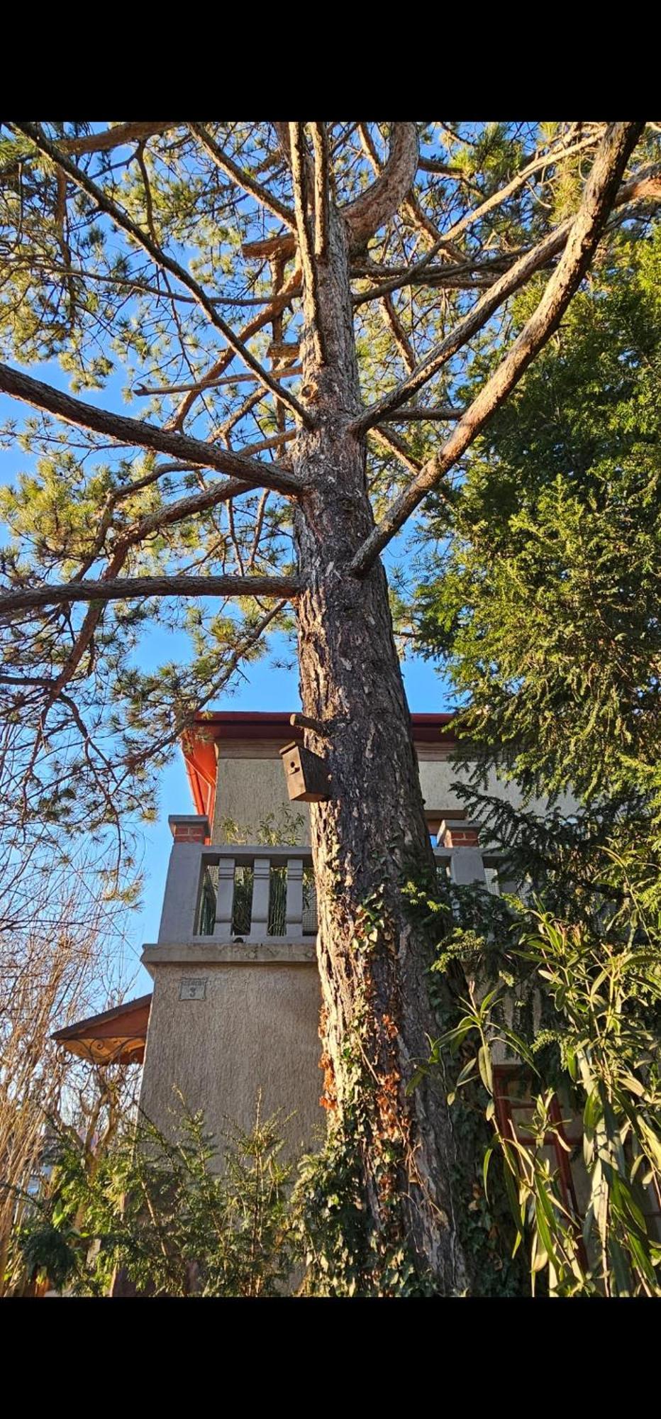 Kasza Villa Balatonfüred Buitenkant foto